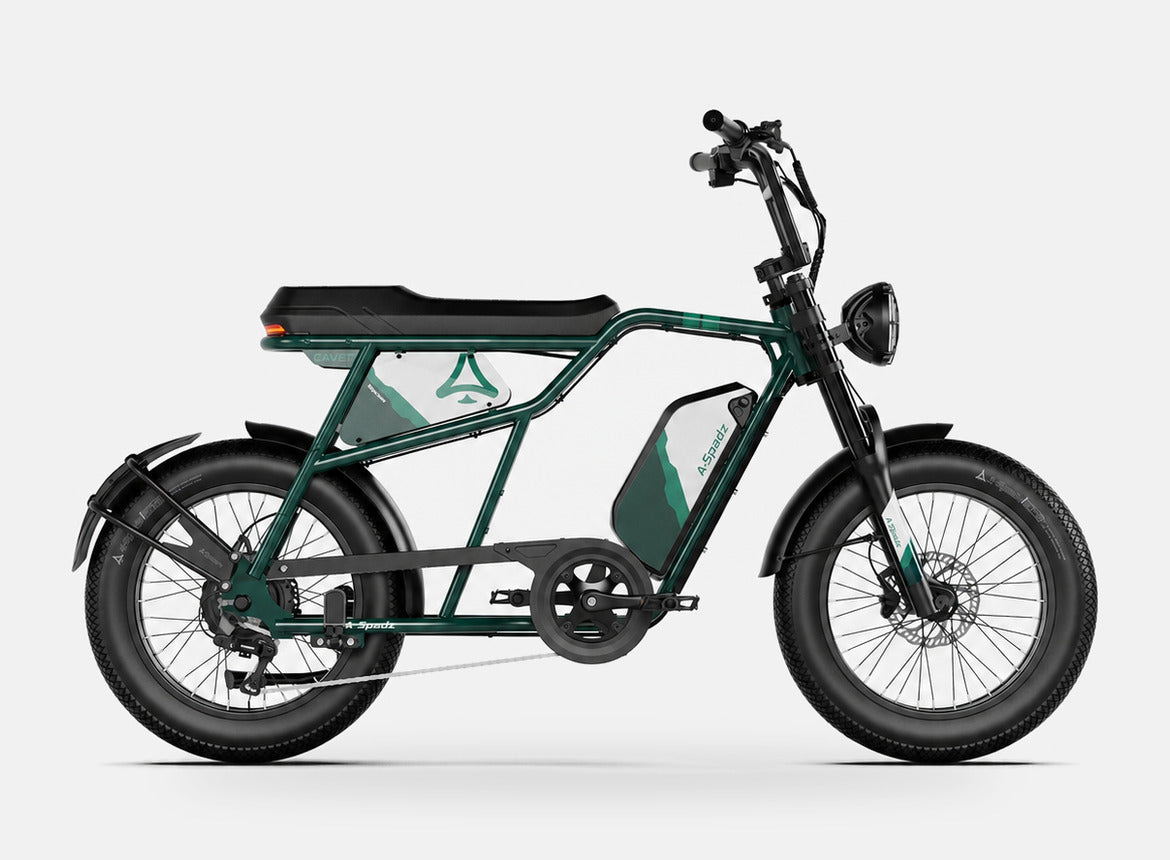 Fat Bike Vintage Scrambler Vert - CAVET