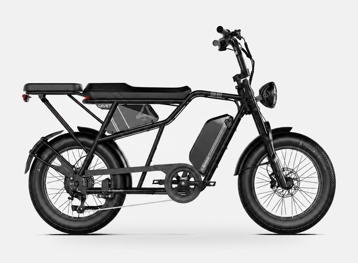Fat Bike Longtail Biplace Électrique Noir - CAVET