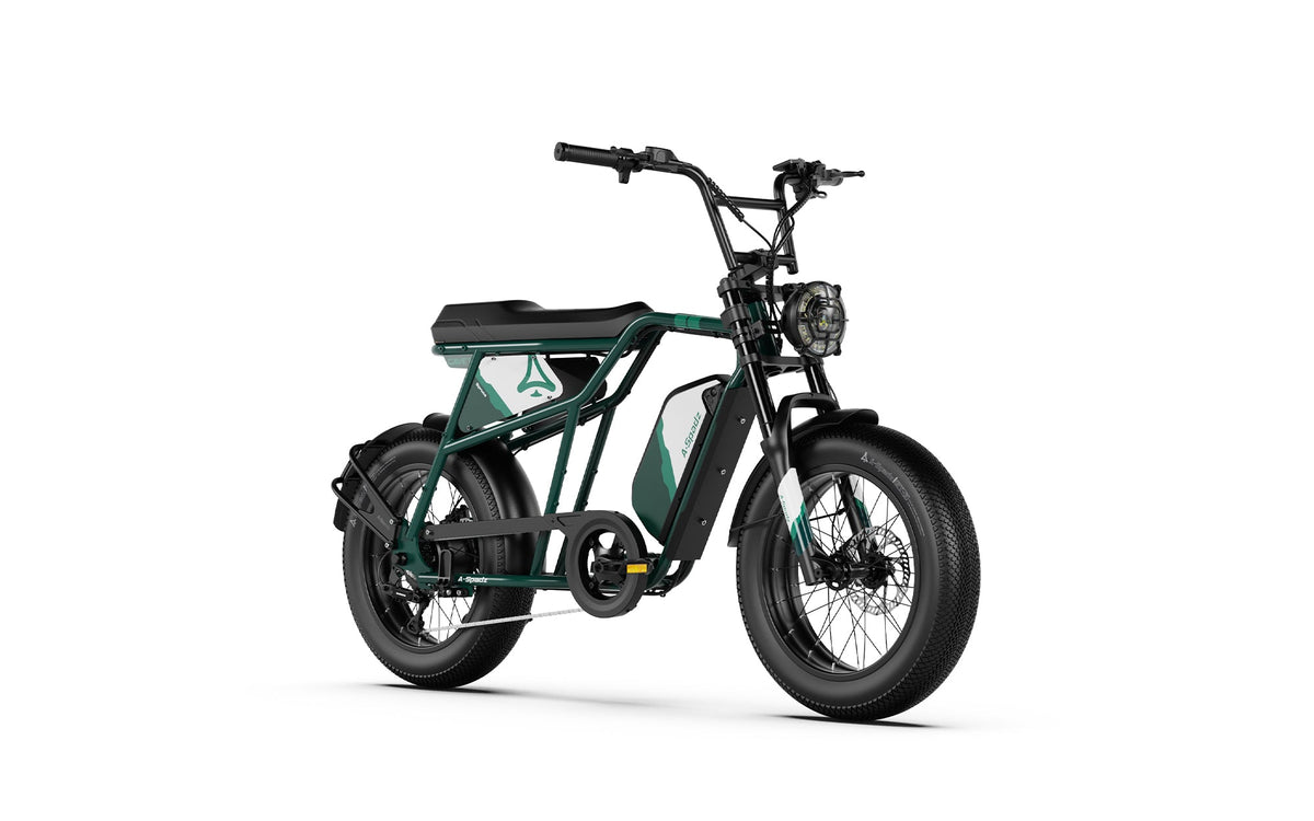 Fat Bike Vintage Scrambler Vert - CAVET