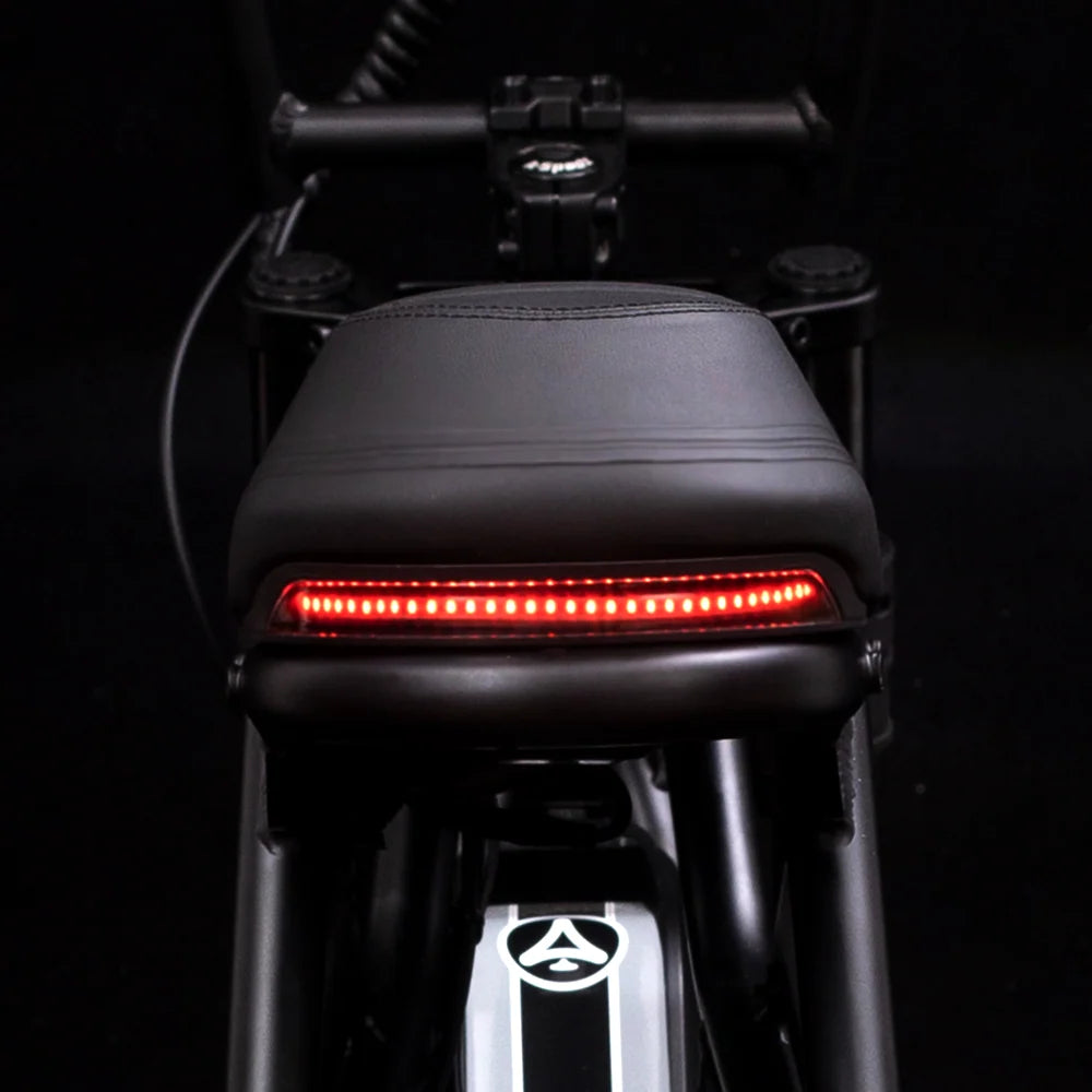 Fat bike électrique et accessoires 1001FatBike