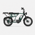 Fat Bike Longtail Biplace Électrique Vert - CAVET