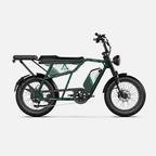 Fat Bike Longtail Biplace Électrique Vert - CAVET