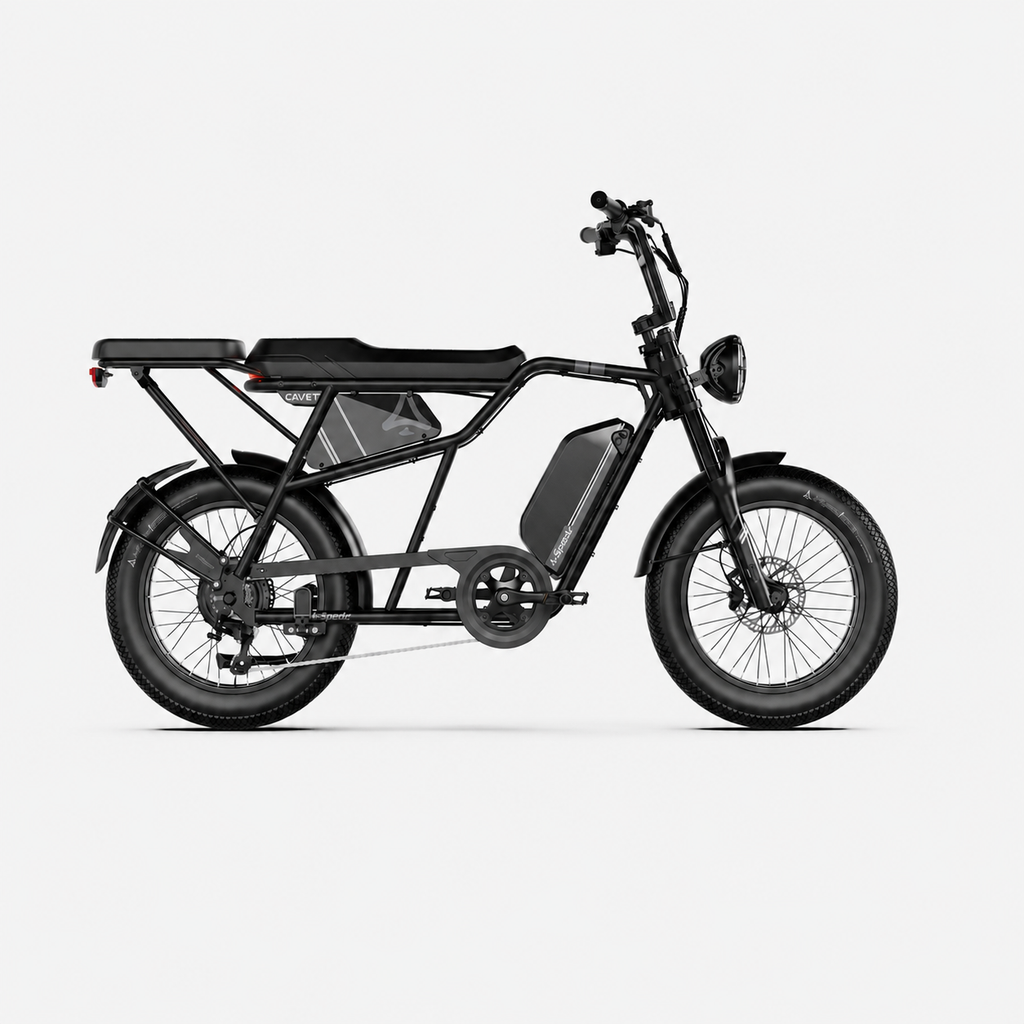 Fat Bike Longtail Biplace Électrique Noir - CAVET