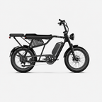Fat Bike Longtail Biplace Électrique Noir - CAVET