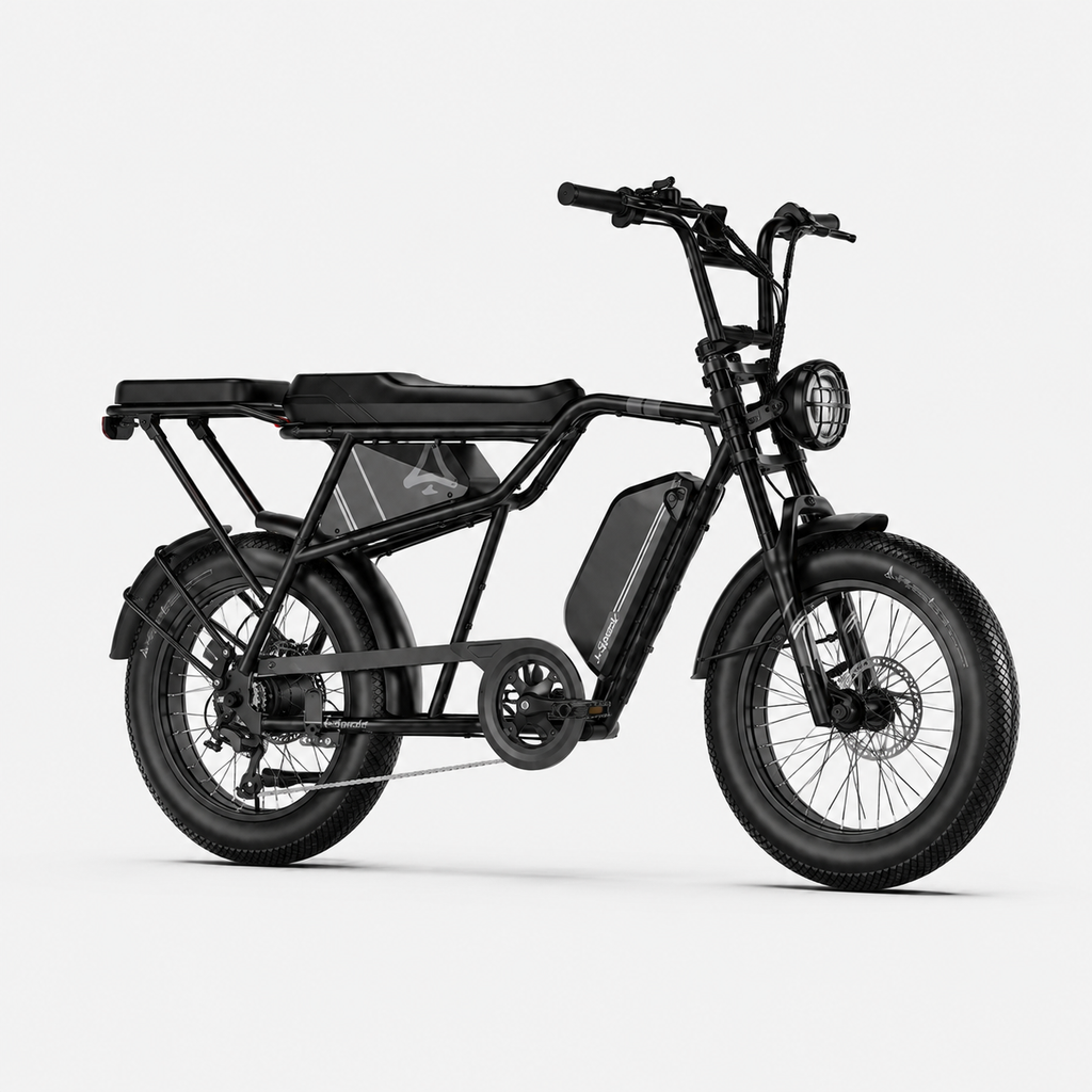 Fat Bike Longtail Biplace Électrique Noir - CAVET