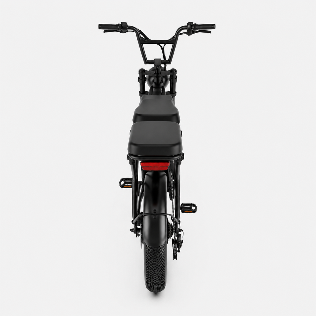 Fat Bike Longtail Biplace Électrique Noir - CAVET