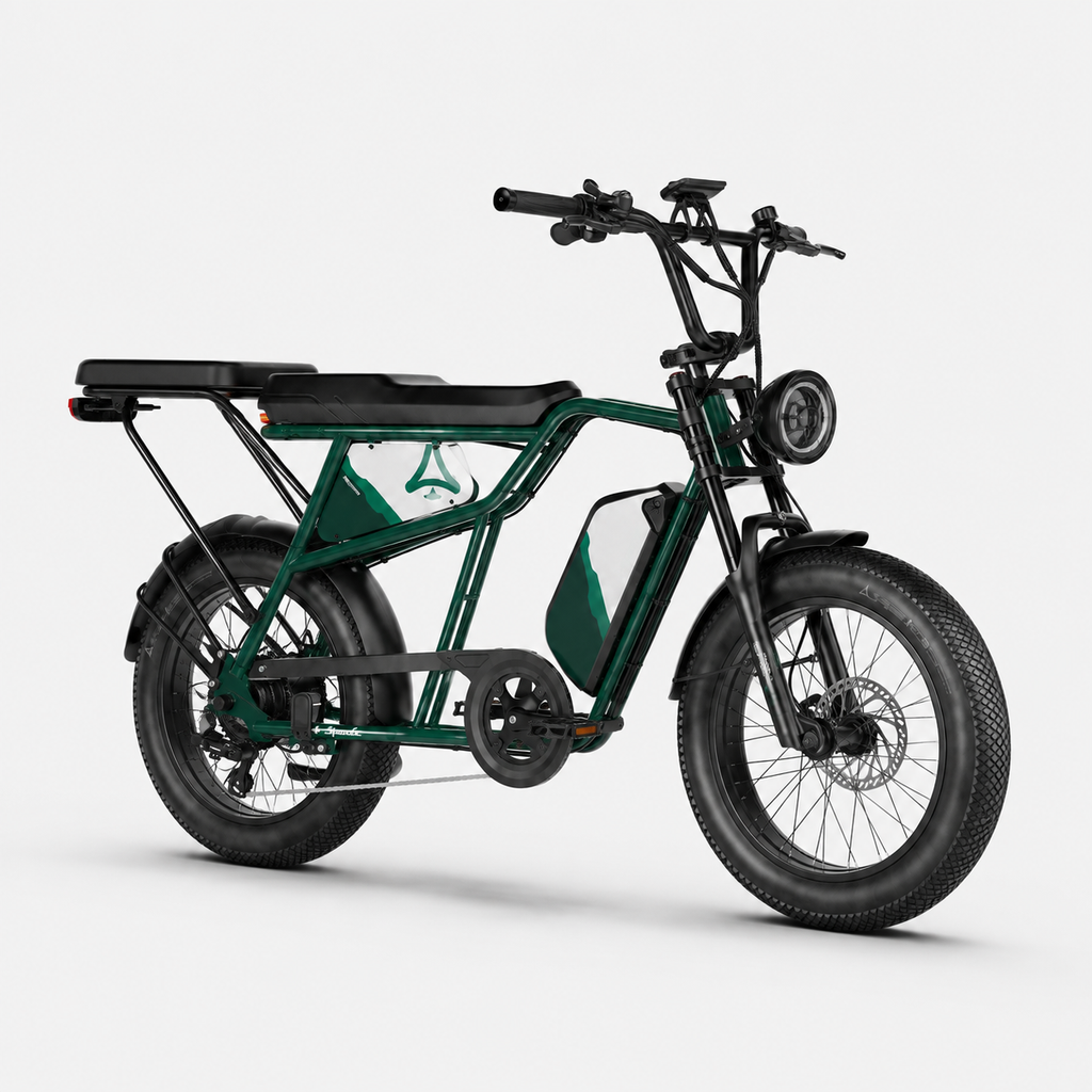 Fat Bike Longtail Biplace Électrique Vert - CAVET