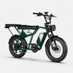 Fat Bike Longtail Biplace Électrique Vert - CAVET
