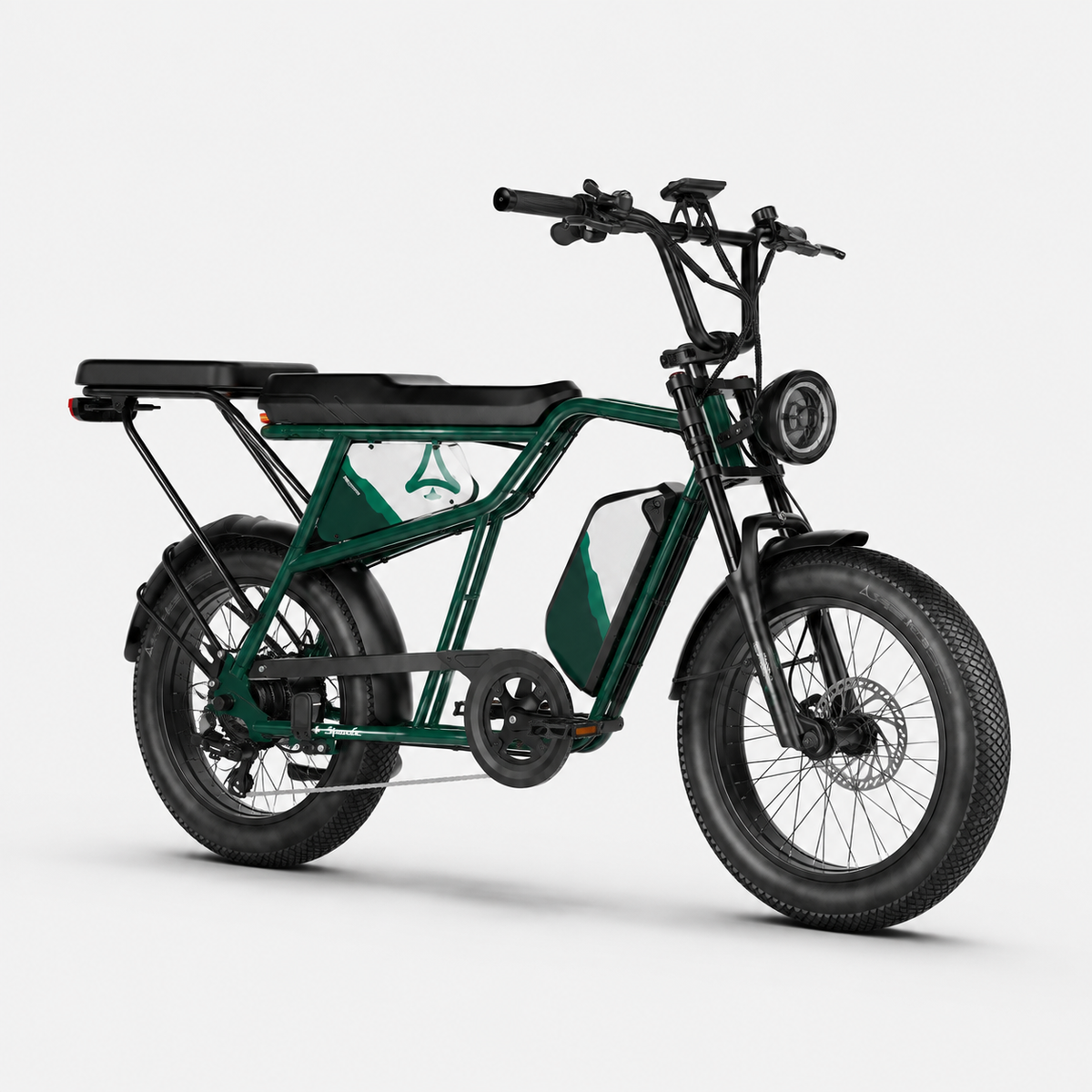 Fat Bike Longtail Biplace Électrique Vert - CAVET