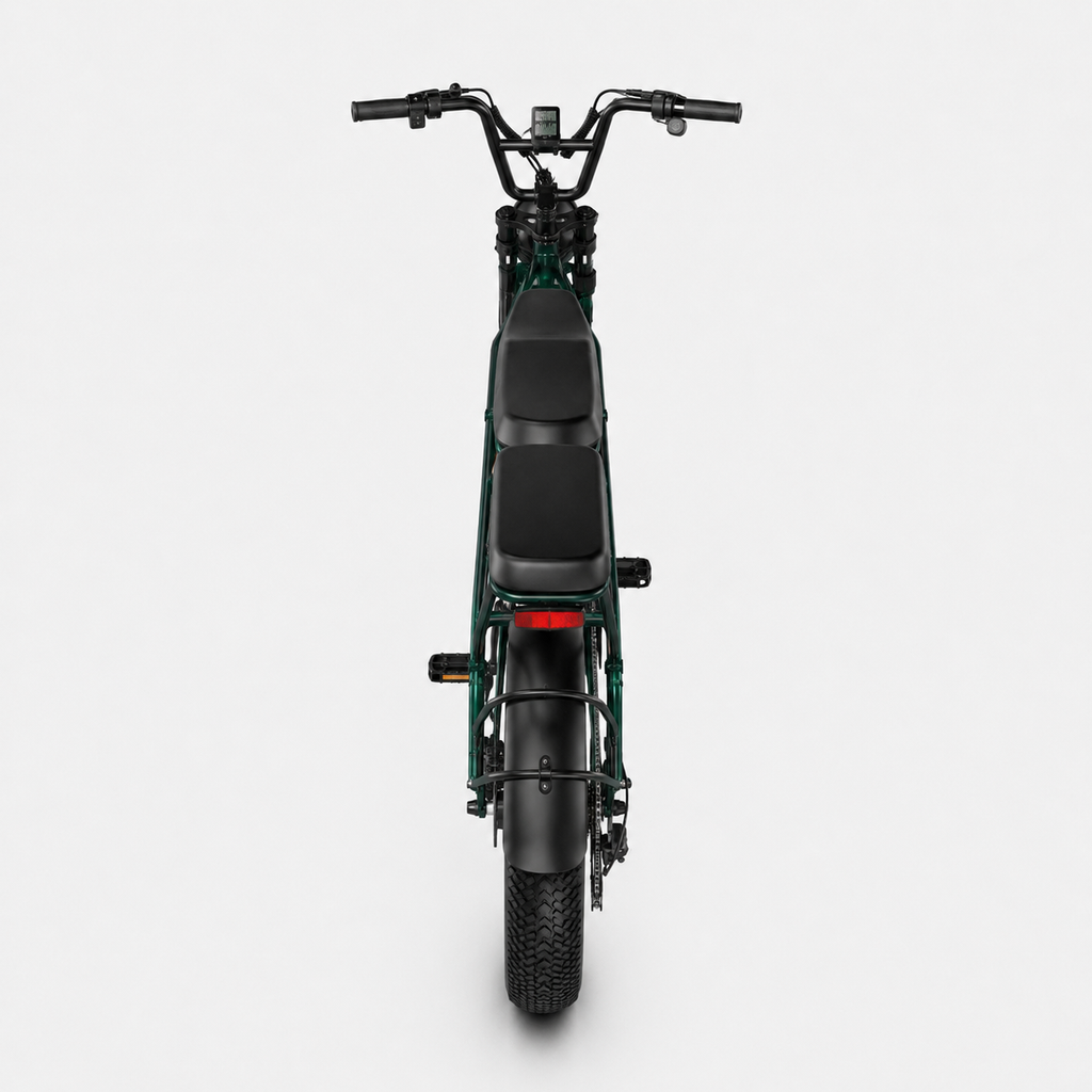 Fat Bike Longtail Biplace Électrique Vert - CAVET