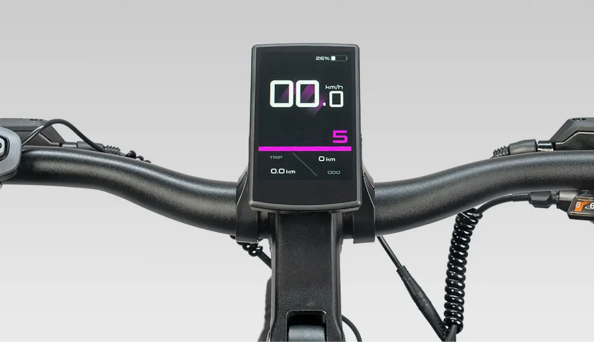 Fat Bike Électrique Femme Cadre Ouvert E26 PRO