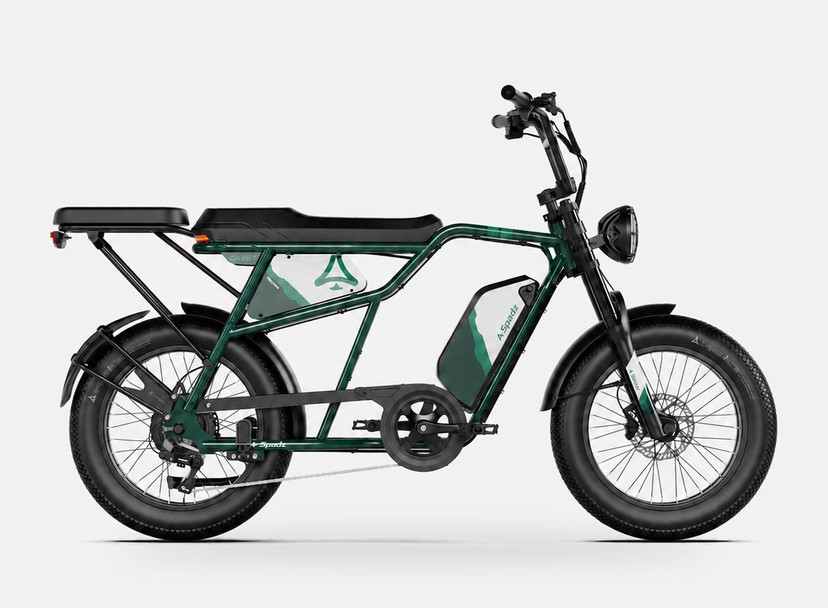 Fat Bike Longtail Biplace Électrique Vert - CAVET